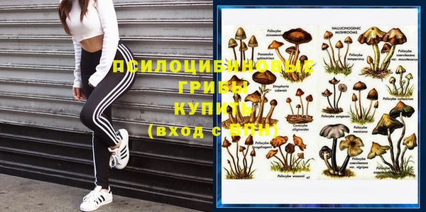 эйфоретик Алексин