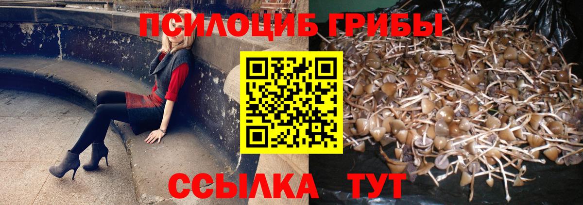 Псилоцибиновые грибы GOLDEN TEACHER  Галлюциногенные грибы ЛСД  Лесосибирск  Вход с VPN 