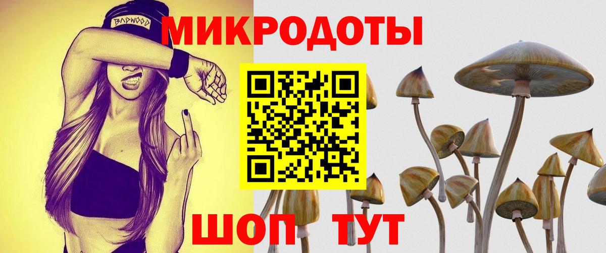Псилоцибиновые грибы Psilocybine cubensis Лесосибирск