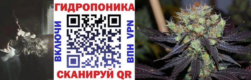 где можно купить наркотик  Лесосибирск  Шишки марихуана план 